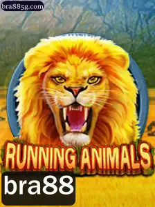 Explorando o Mundo de RunningAnimals: Aventuras e Diversão